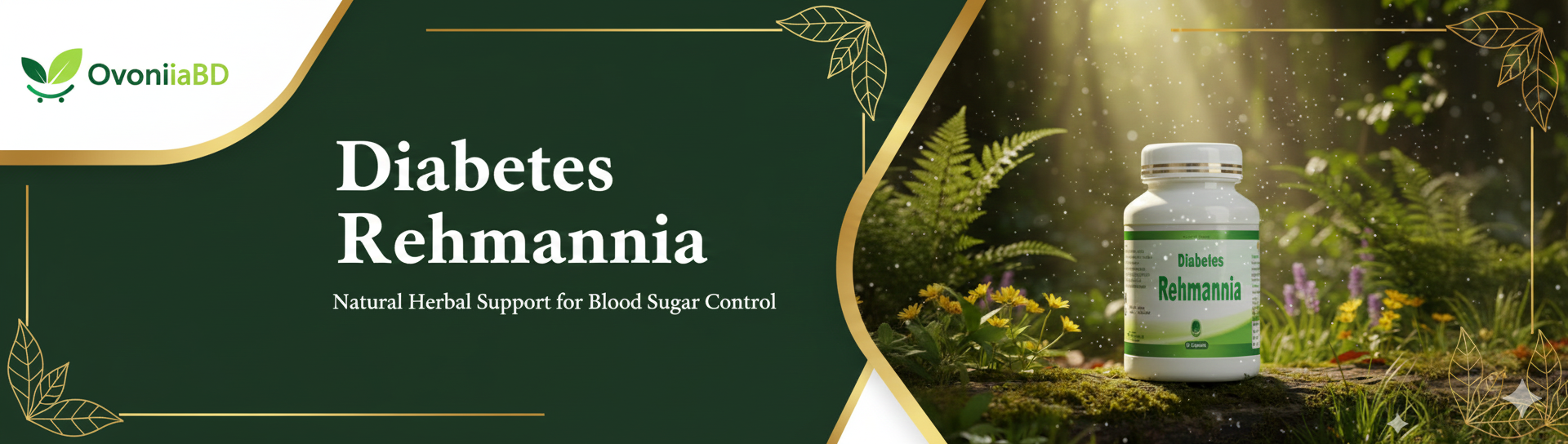 Gemini_Generated_Image_3lk1iy3lk1iy3lk1