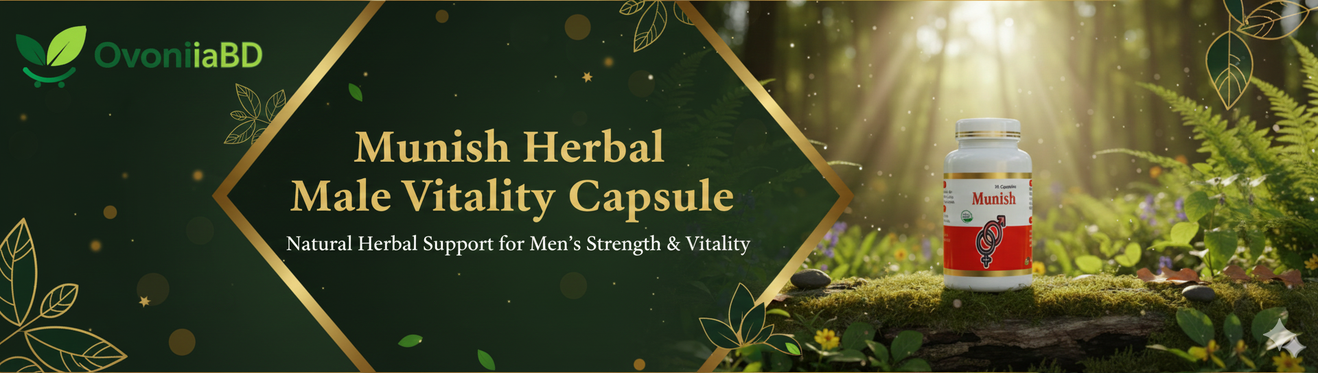 Gemini_Generated_Image_ylt3eyylt3eyylt3 (1)